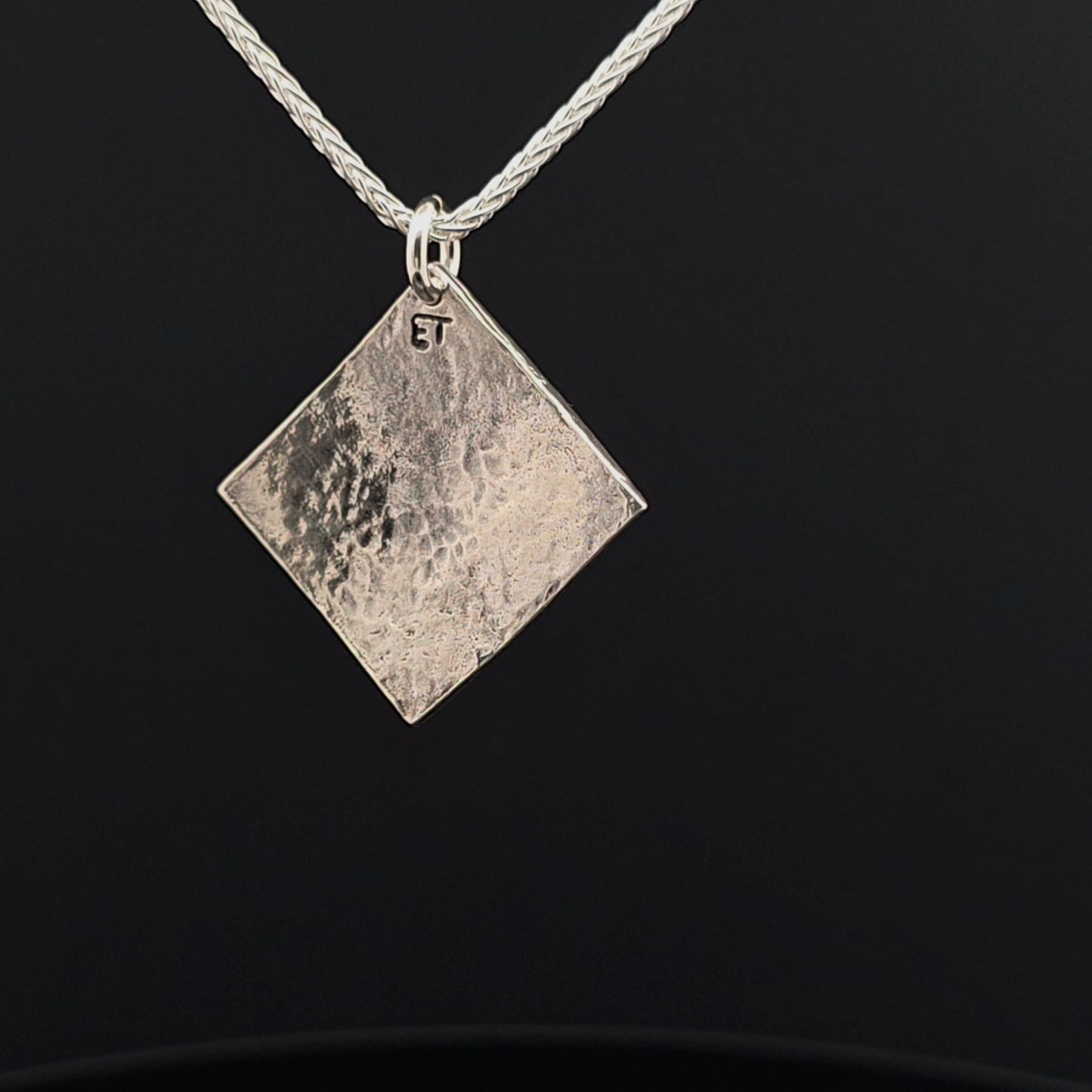 #18 Silver Pendant and Chain - Flint and Snake Nose Design