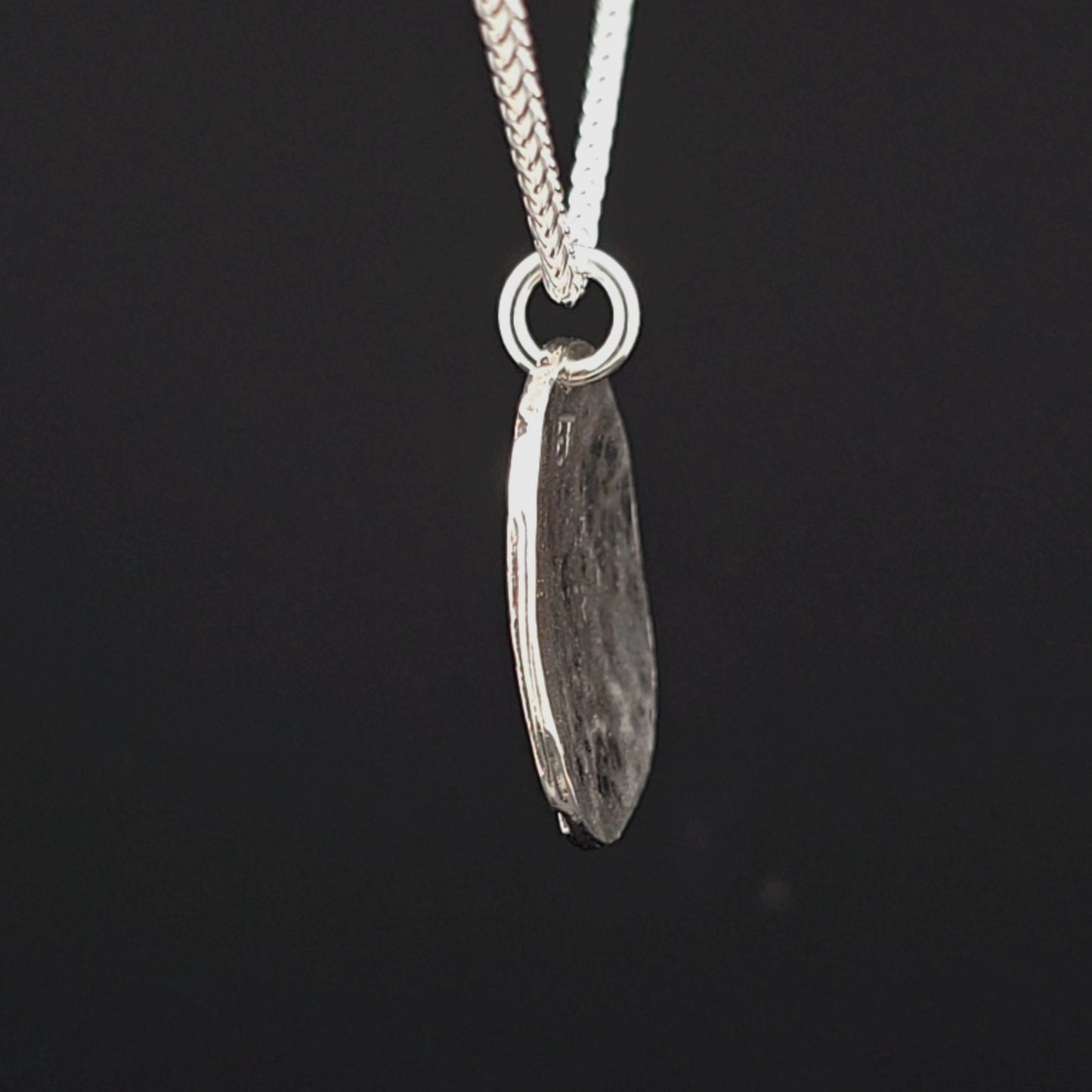 #17 Silver Pendant and Chain - Mountain Sturgeon Path Design